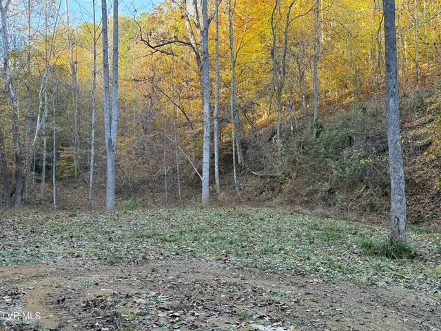 $88,500 | 7 Topaz Way, Unit 7, Parrottsville, TN 37843