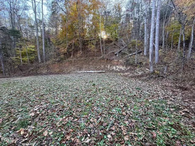 $88,500 | 7 Topaz Way, Unit 7, Parrottsville, TN 37843