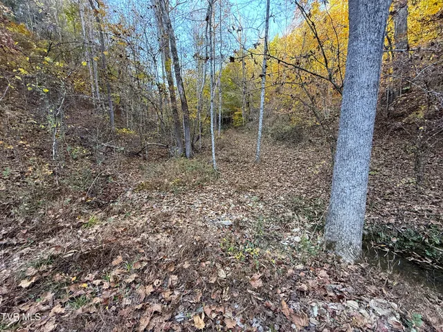 $88,500 | 7 Topaz Way, Unit 7, Parrottsville, TN 37843