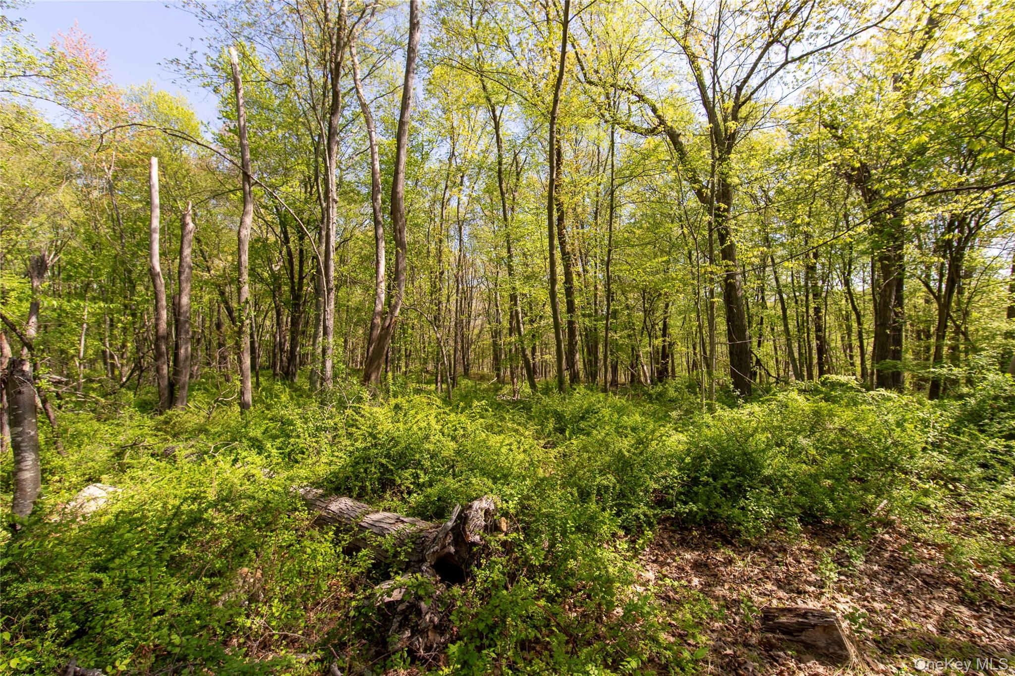 298 Nash Road North Salem, NY 10560 - Photo 5 of 11