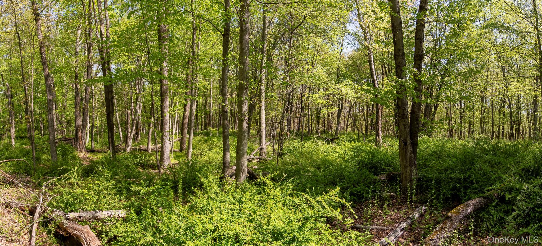 298 Nash Road North Salem, NY 10560 - Photo 7 of 11 a view of a garden