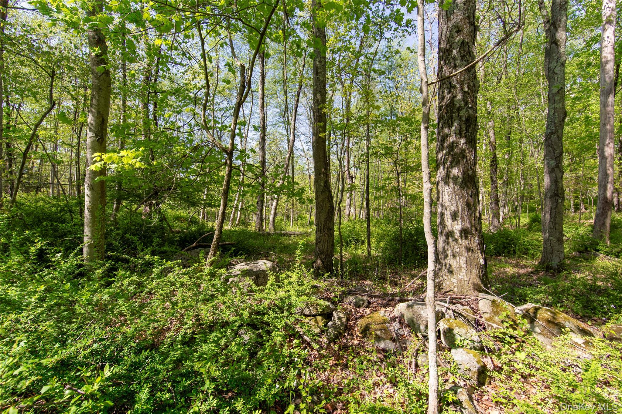 298 Nash Road North Salem, NY 10560 - Photo 8 of 11 a garden view