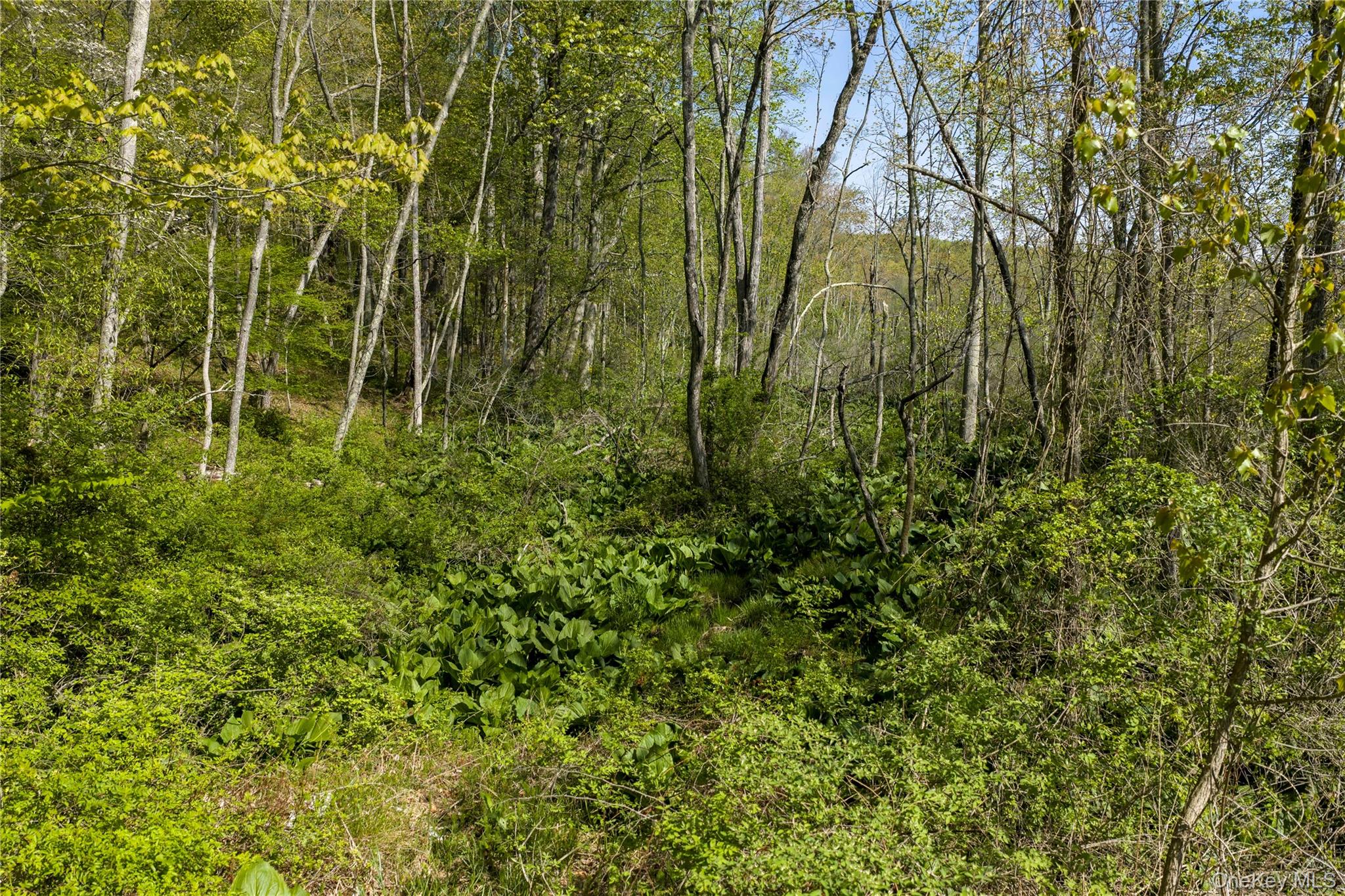 298 Nash Road North Salem, NY 10560 - Photo 9 of 11 a view of a yard