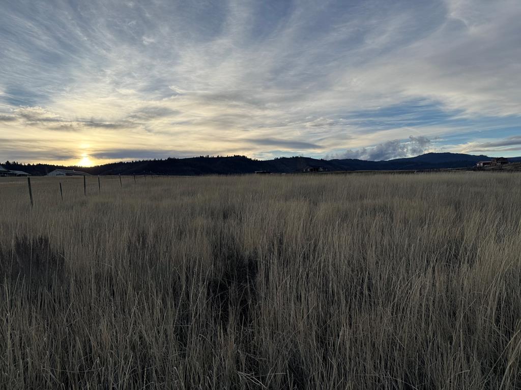 55-acres Deer Loop Council, ID 83612 - Photo 6 of 10