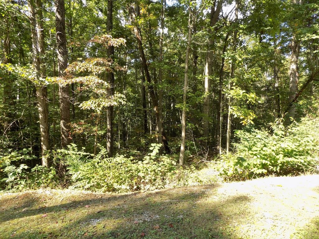 13 Classic Road Newport, TN 37821 - Photo 1 of 7 Gallery Image 1