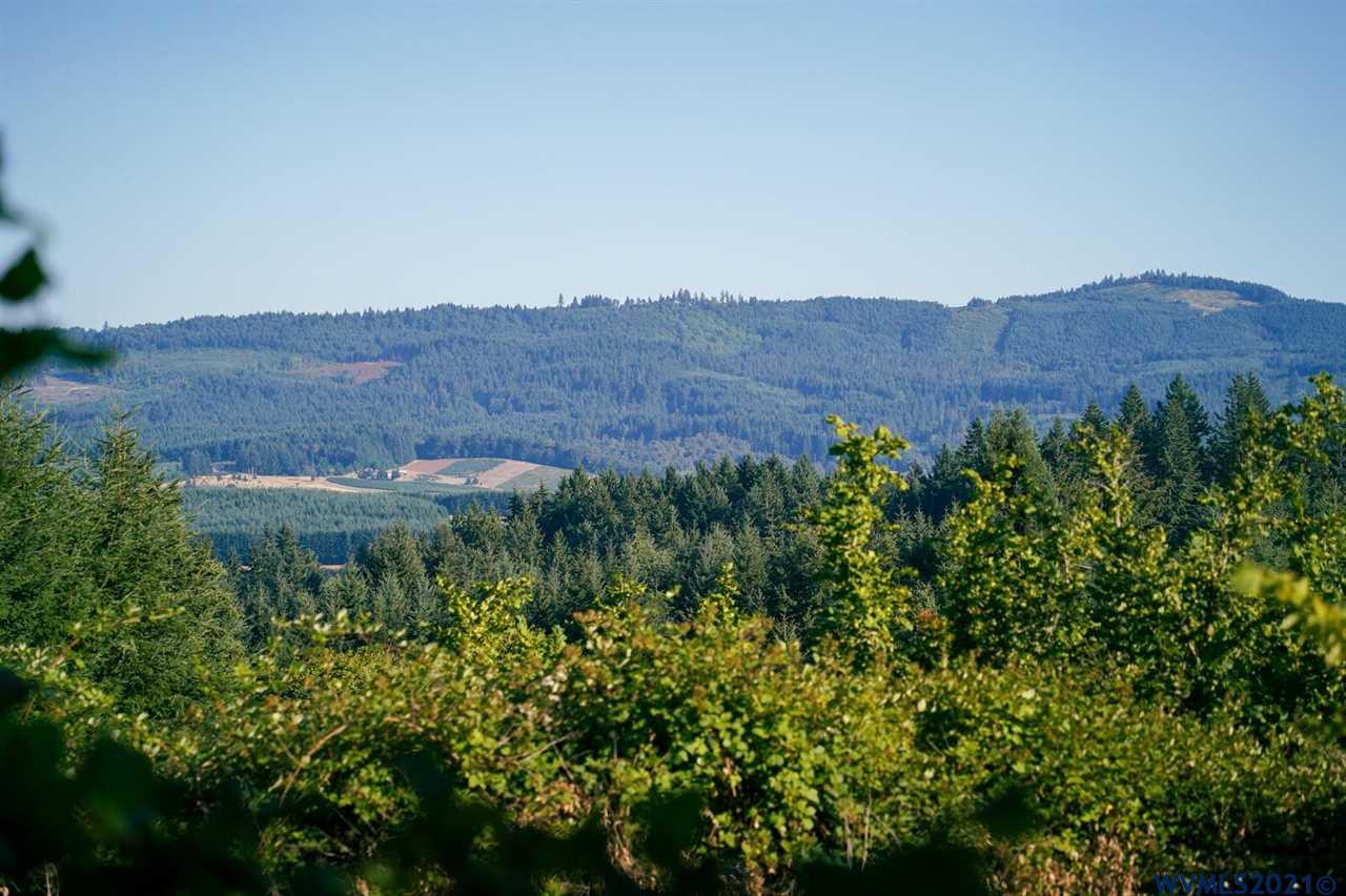 West Larson (lot 18) Road Monroe, OR 97456 - Photo 14 of 21