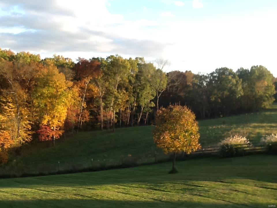 5220 Beare Grove Road Ellis Grove, IL 62241 - Photo 83 of 99