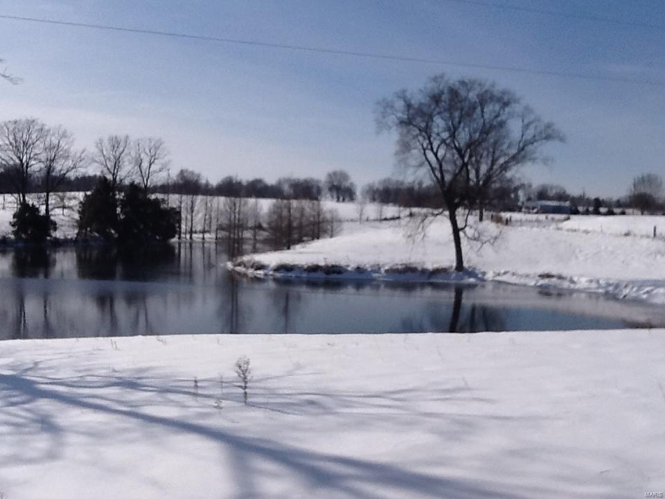 5220 Beare Grove Road Ellis Grove, IL 62241 - Photo 88 of 99