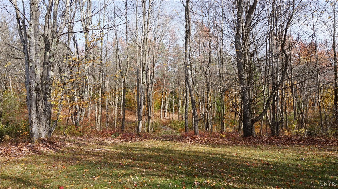 404 Old State Road Redfield, NY 13437 - Photo 40 of 43