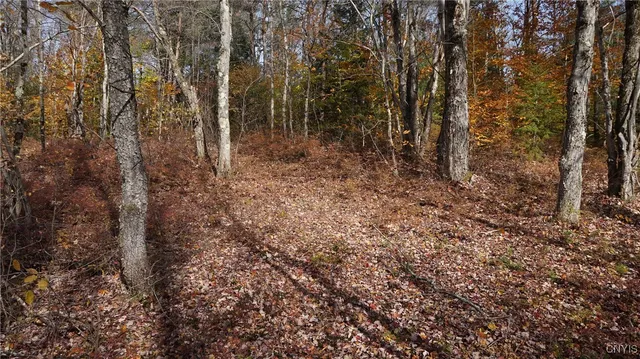 $189,900 | 404 Old State Road, Redfield, NY 13437