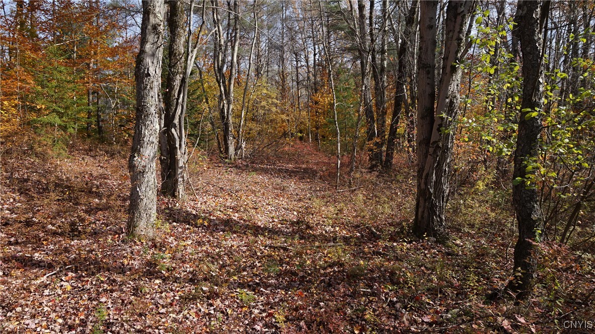 404 Old State Road Redfield, NY 13437 - Photo 43 of 43