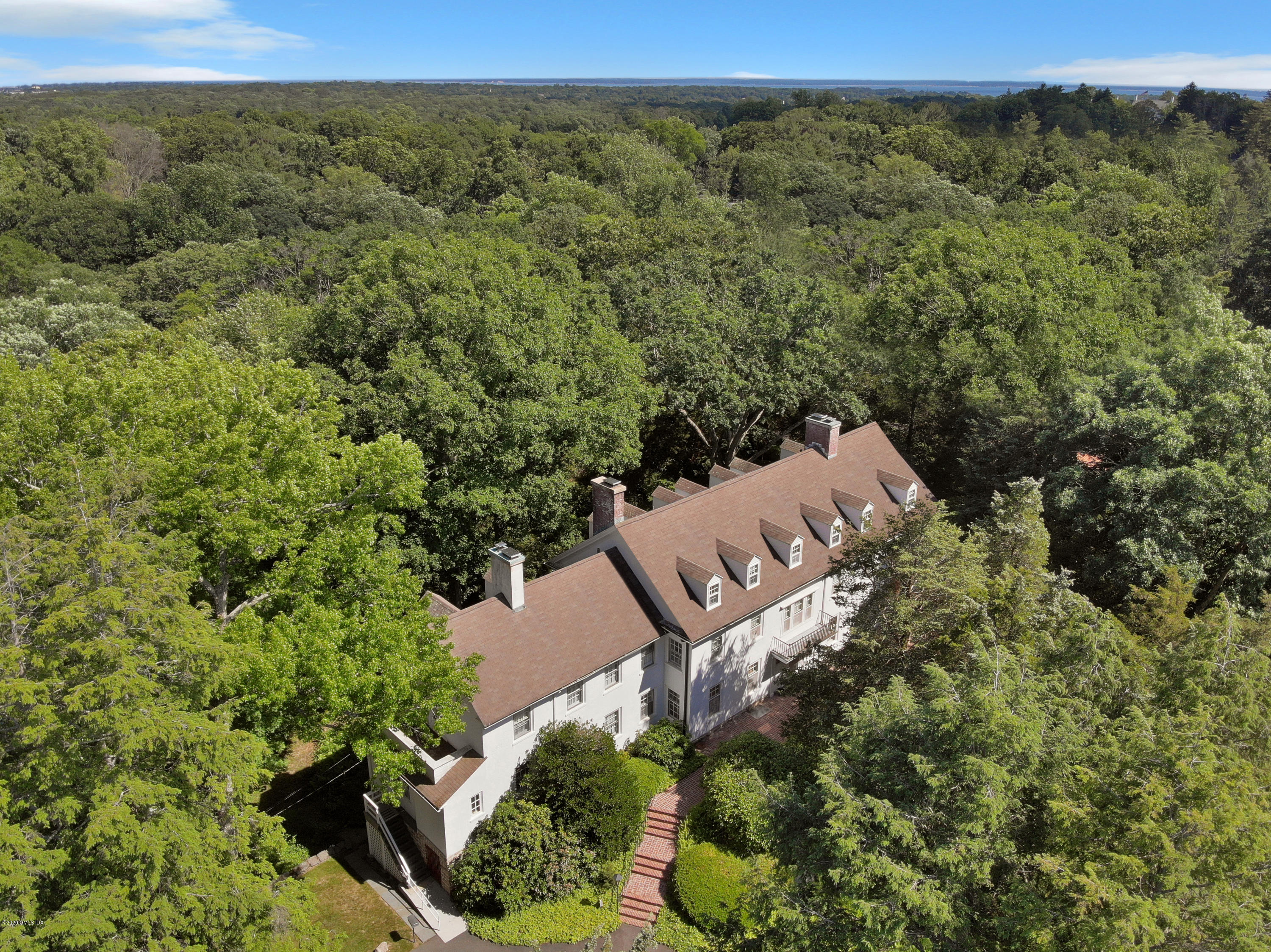 a view of a forest with a forest
