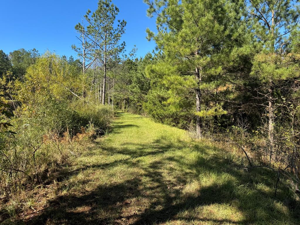 2014 Sanders Lane Utica, MS 39175 - Photo 18 of 19 Views of Land