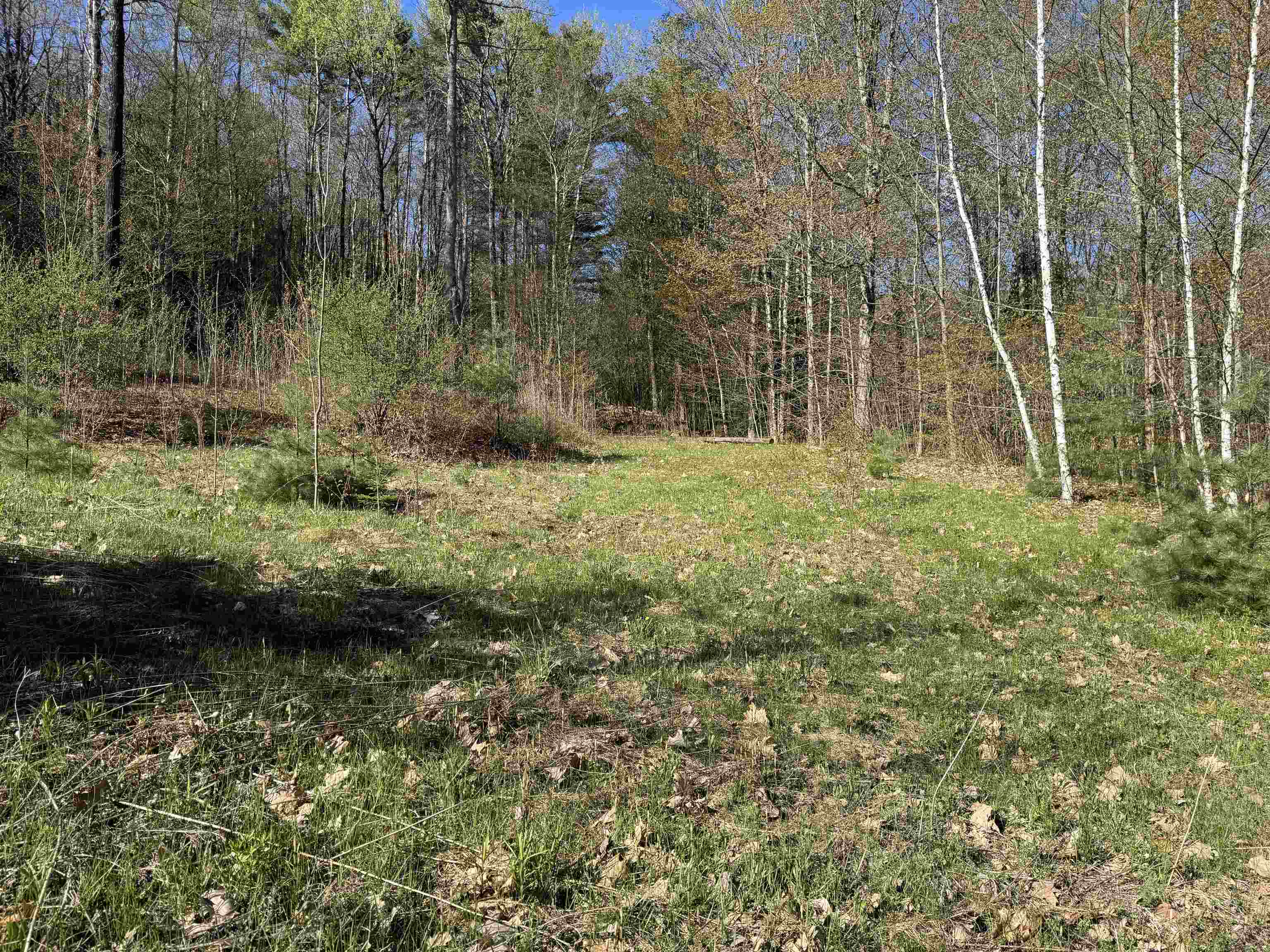 807 Kidder Hood Road Bradford, VT 05033 - Photo 7 of 21