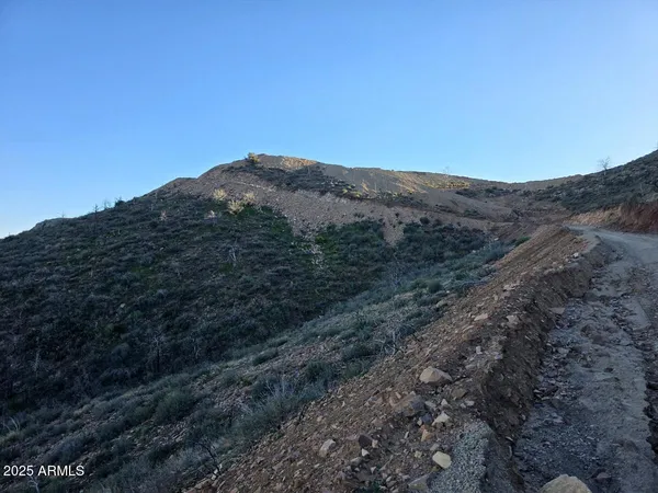 a view of a mountain range with trees in the background