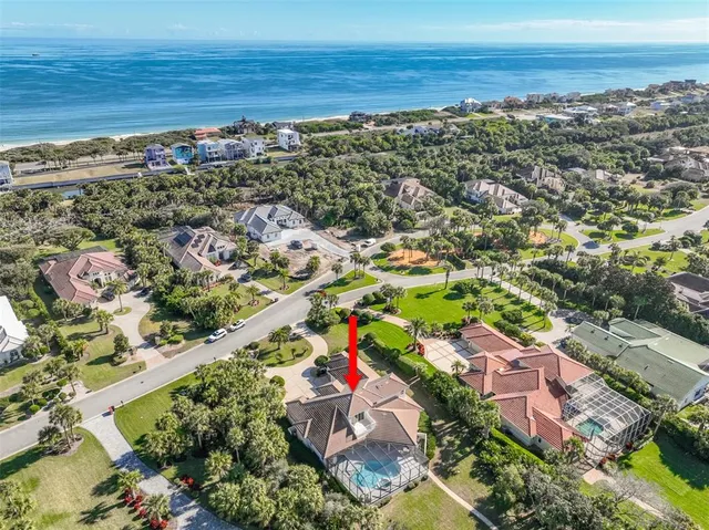 a living room with furniture a chandelier and a potted plant