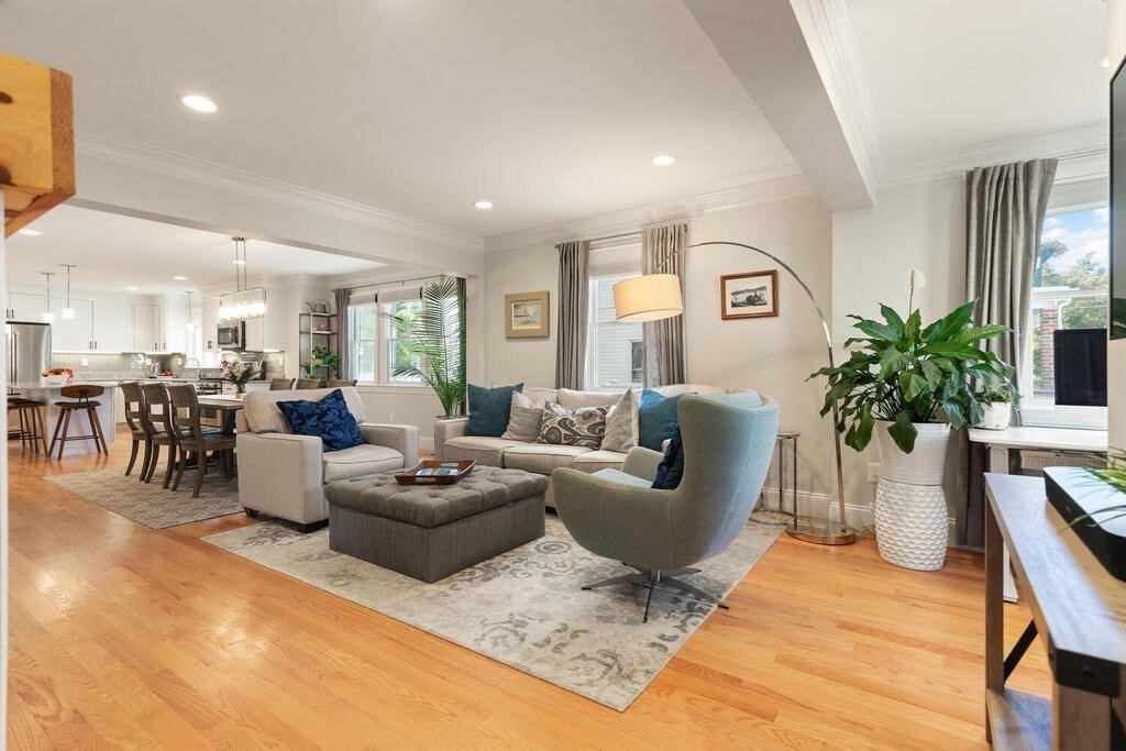 a living room with furniture potted plant and a window