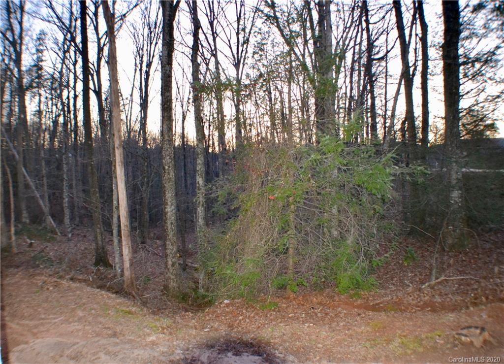 115 Cold Springs Drive Mill Spring, NC 28756 - Photo 18 of 19 a view of a forest with trees in the background