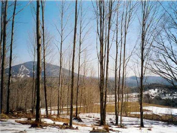 0 Barton Road West Windsor, VT 05037 - Photo 1 of 1