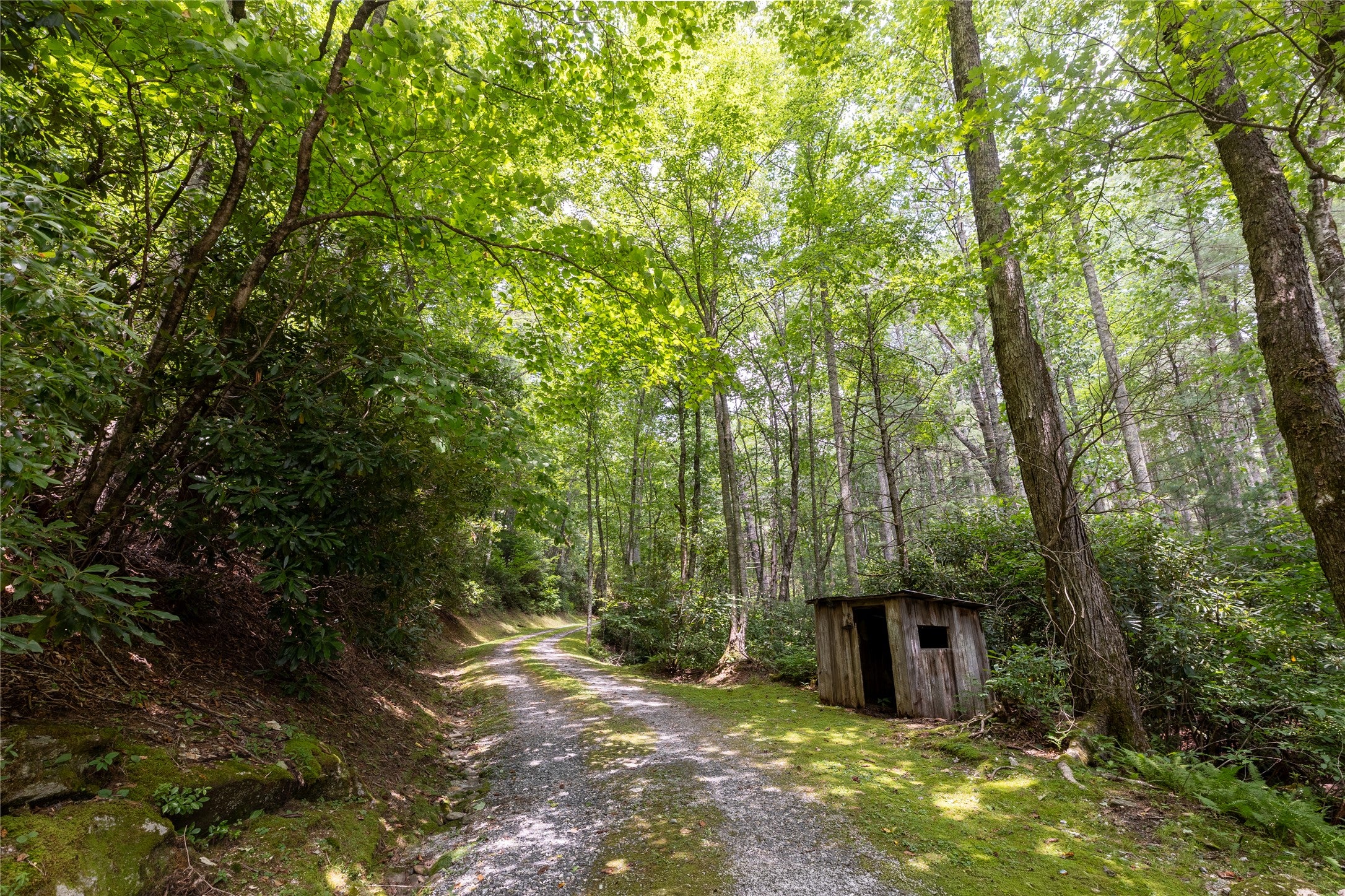 Tbd Aimless Hl Road Cashiers, NC 28717 - Photo 7 of 43 Gallery Image 7