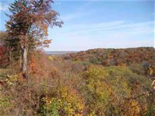 Lot 7 North Frye Road Peoria, IL 61615 - Photo 1 of 11 Gallery Image 1