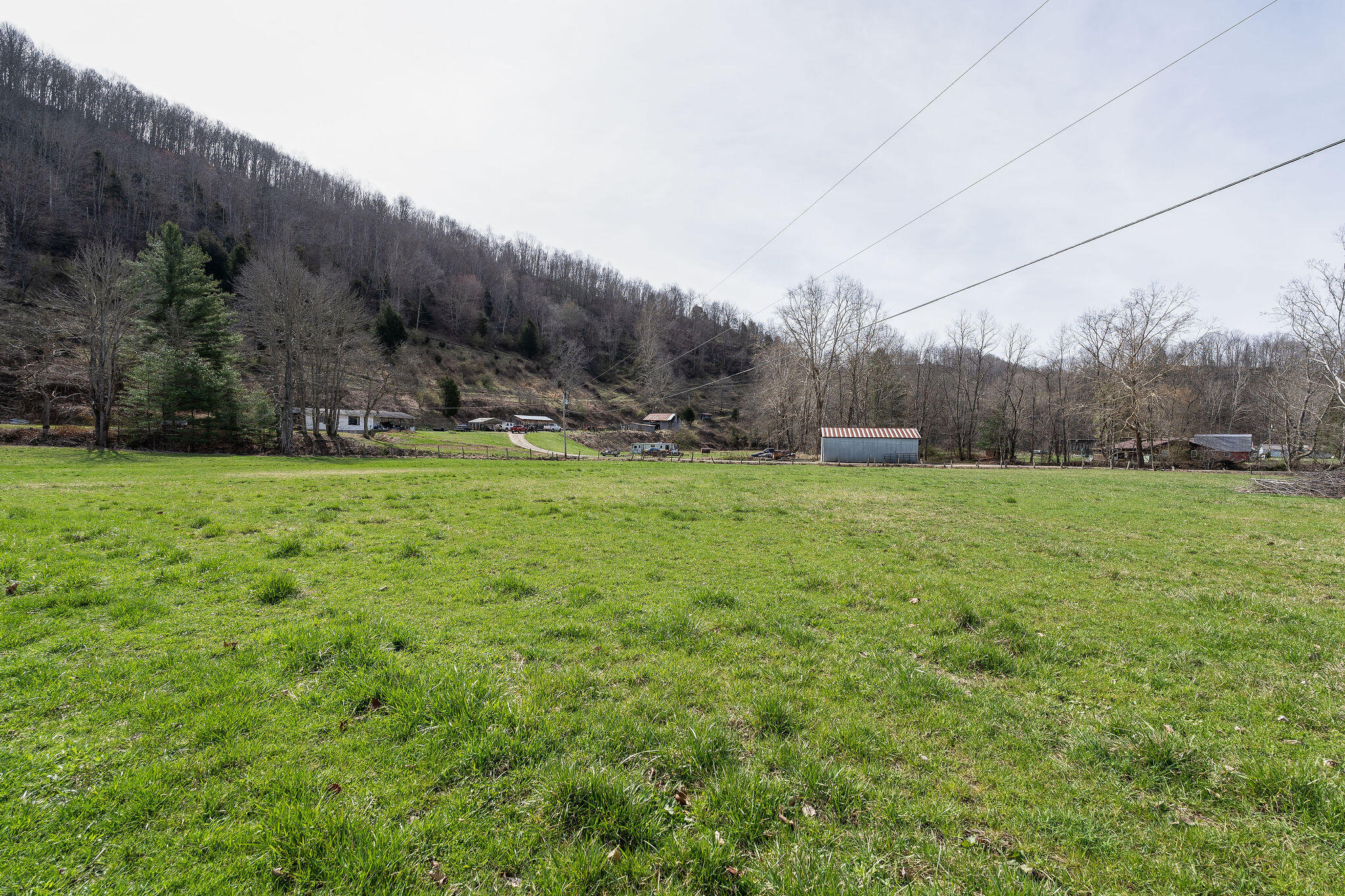 2874 Bandy Road Cedar Bluff, VA 24609 - Photo 44 of 47 DSC01413-Edit