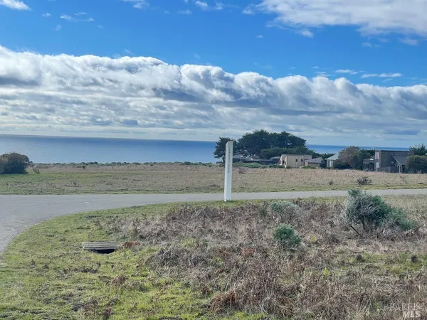 a view of a field with an ocean