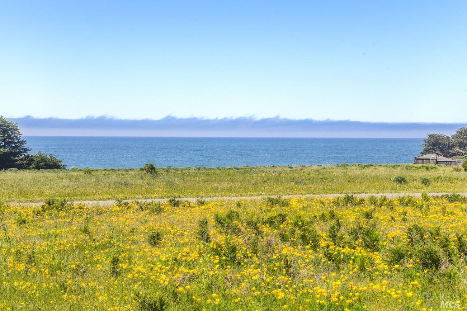 149 Otter Close The Sea Ranch, CA 95497 - Photo 4 of 9 a view of an ocean from a mountain