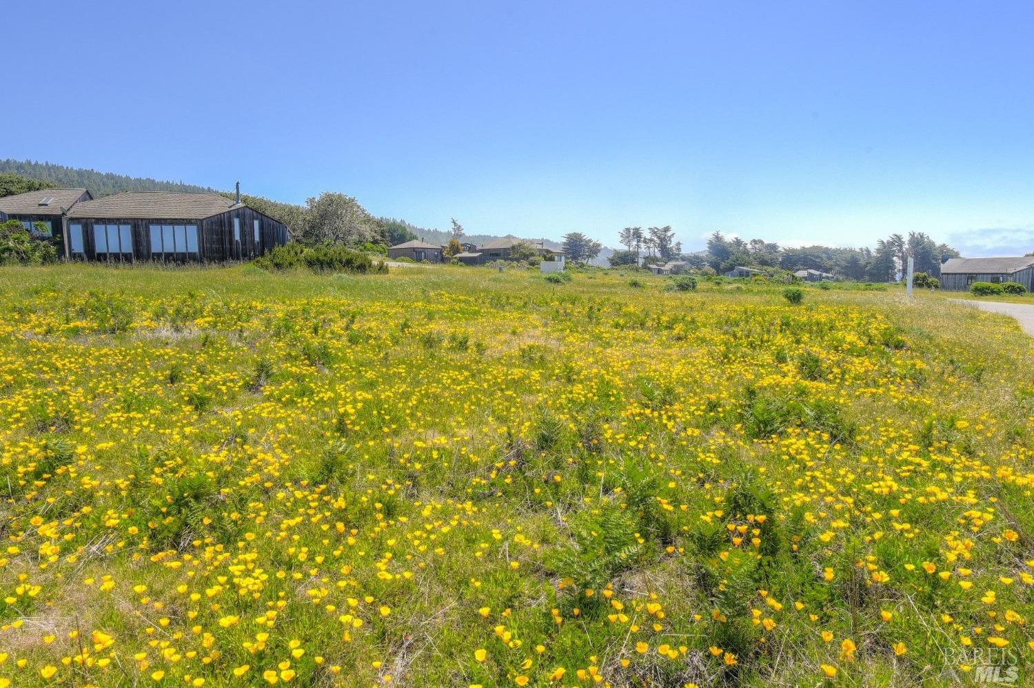 149 Otter Close The Sea Ranch, CA 95497 - Photo 8 of 9 a view of a large pool with lawn chairs and large trees
