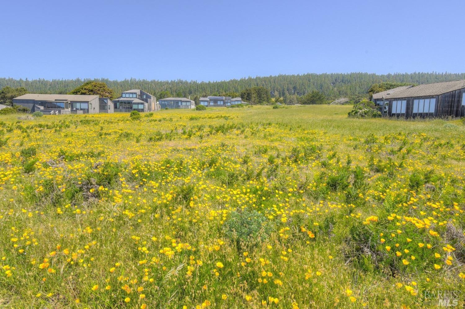 149 Otter Close The Sea Ranch, CA 95497 - Photo 9 of 9 a view of an ocean from a building