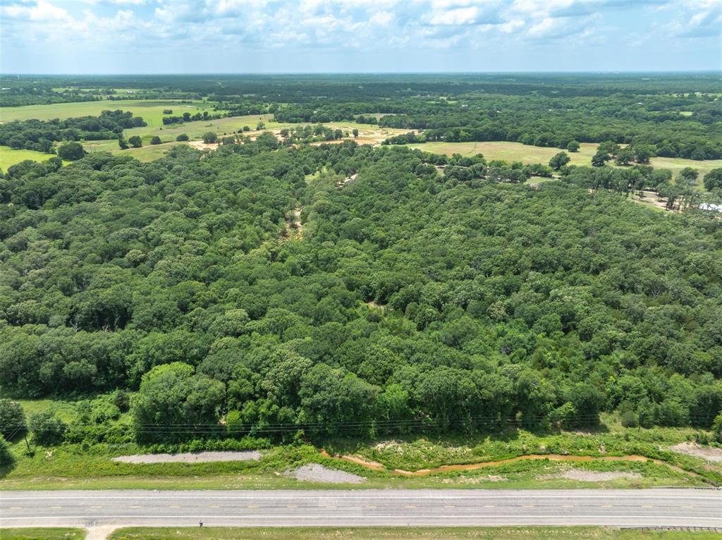 Tbd Tbd Tx-19 Edgewood, TX 75117 - Photo 6 of 7