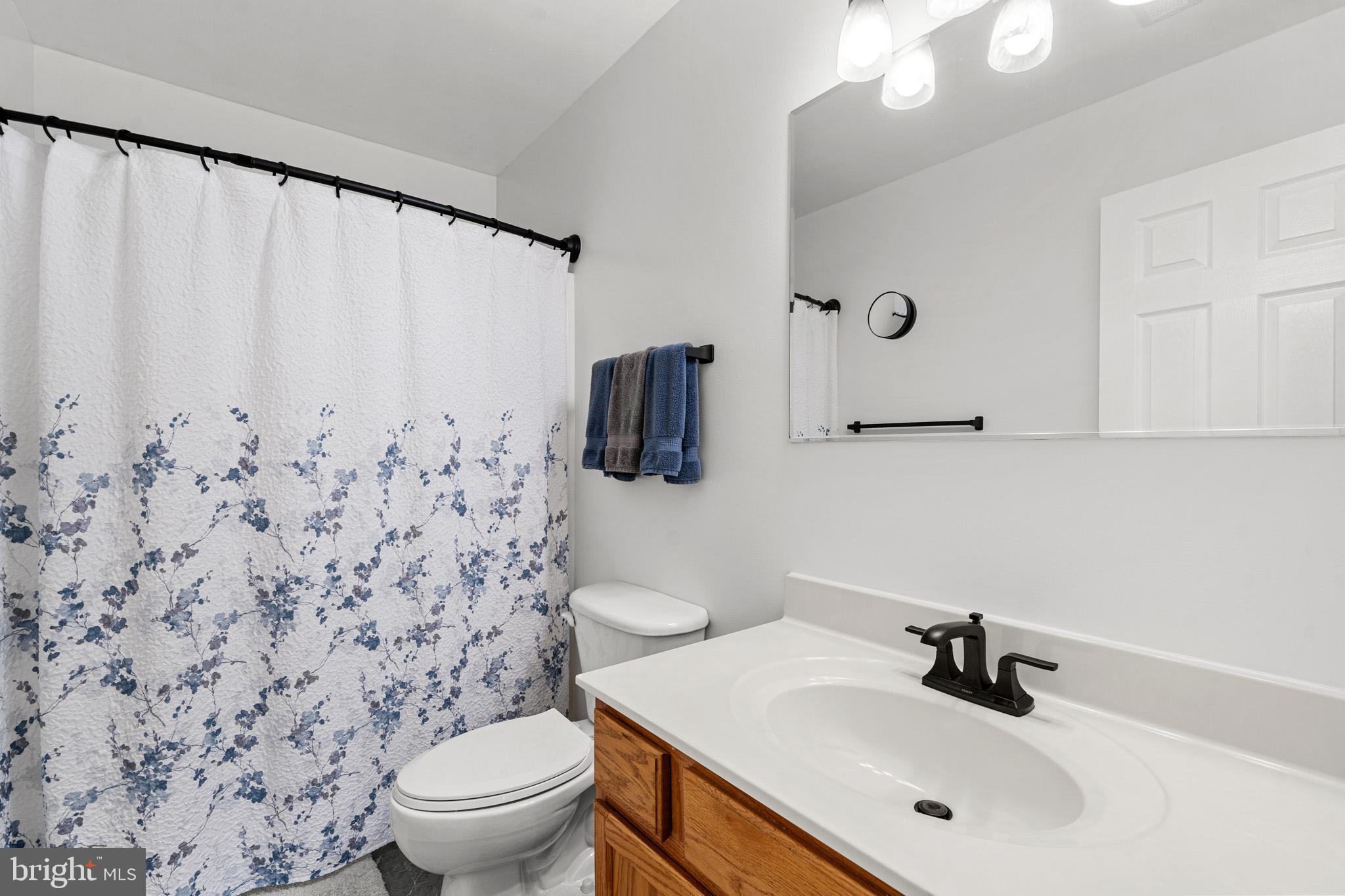 1230 Plum Point Road Huntingtown, MD 20639 - Photo 40 of 79 a bathroom with a sink toilet and mirror