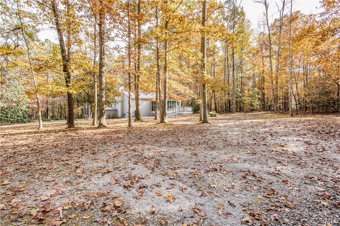 11608 Bundle Road Chesterfield, VA 23838 - Photo 3 of 19 a view of empty space with trees