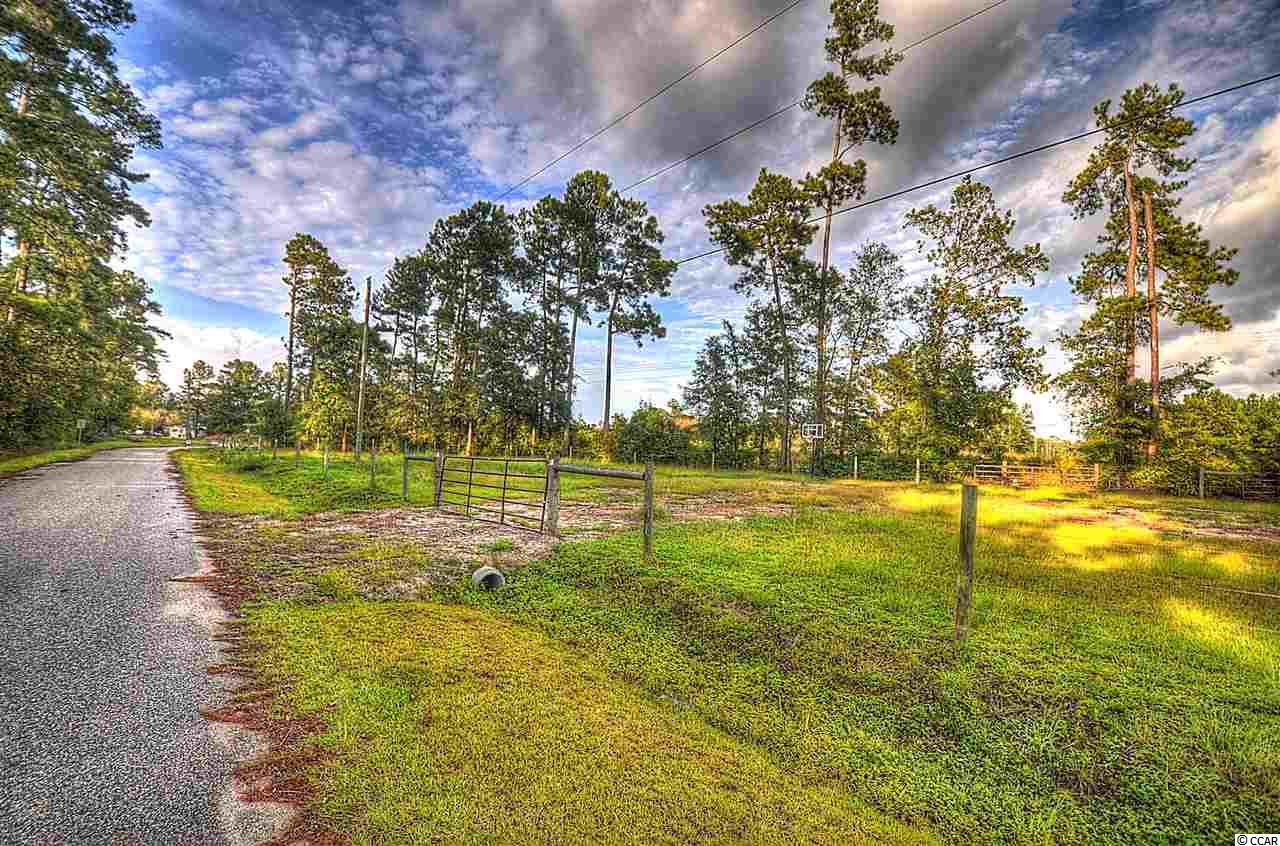 Lot 1 Old Star Bluff Road Longs, SC 29568 - Photo 1 of 3 Gallery Image 1
