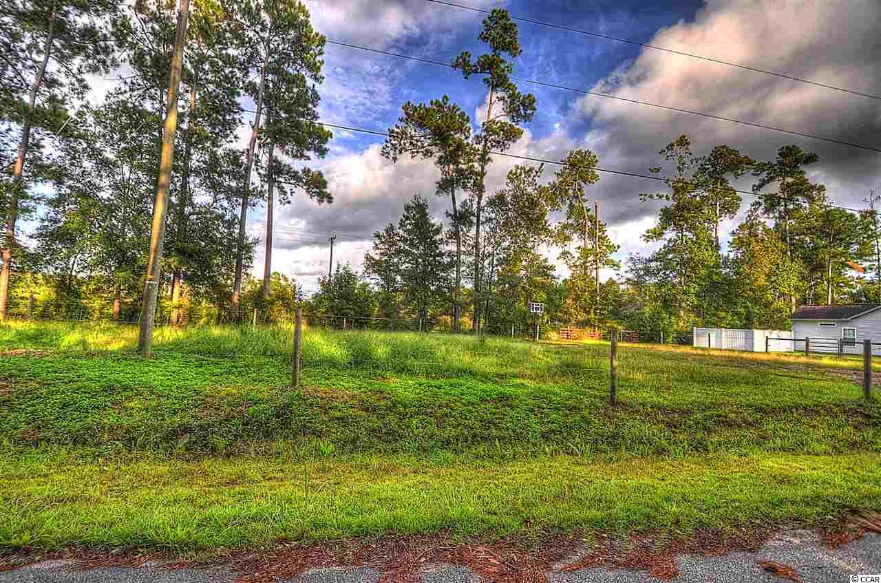 Lot 1 Old Star Bluff Road Longs, SC 29568 - Photo 2 of 3 Gallery Image 2