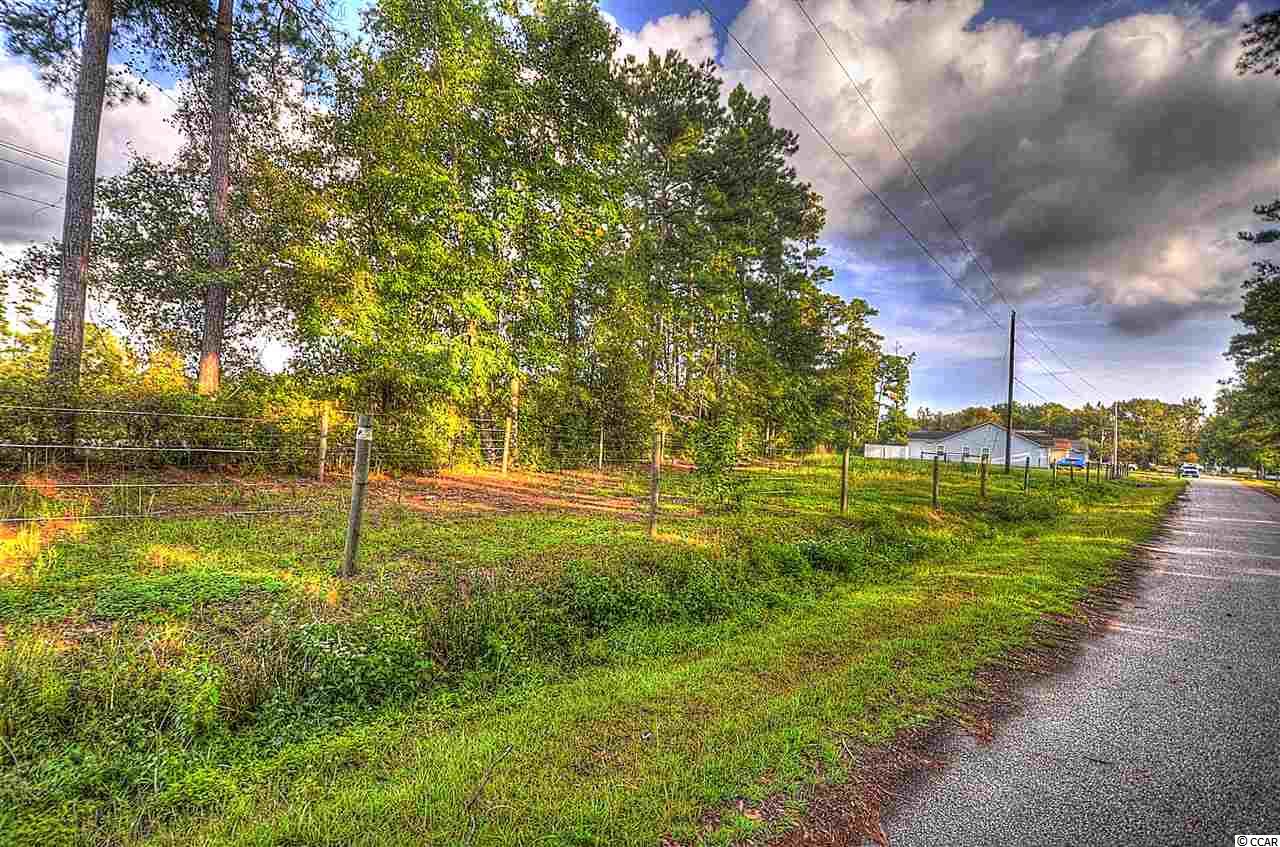 Lot 1 Old Star Bluff Road Longs, SC 29568 - Photo 3 of 3 Gallery Image 3
