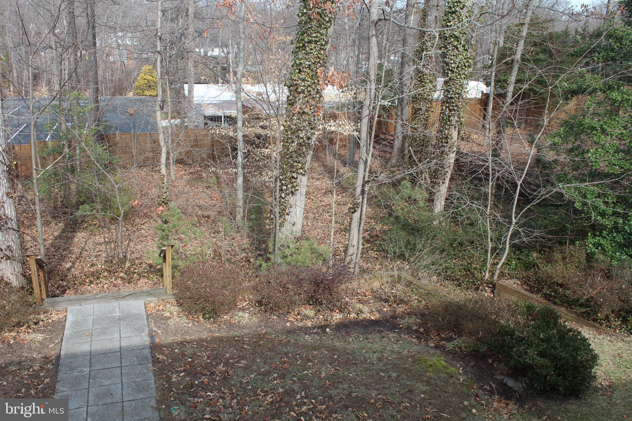 8218 Dabney Avenue Springfield, VA 22152 - Photo 30 of 33 Back Yard - looking straight back to woods