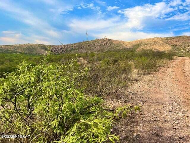 Perilla Perilla Mountain Ranch Douglas, AZ 85607 - Photo 9 of 21 Gallery Image 9