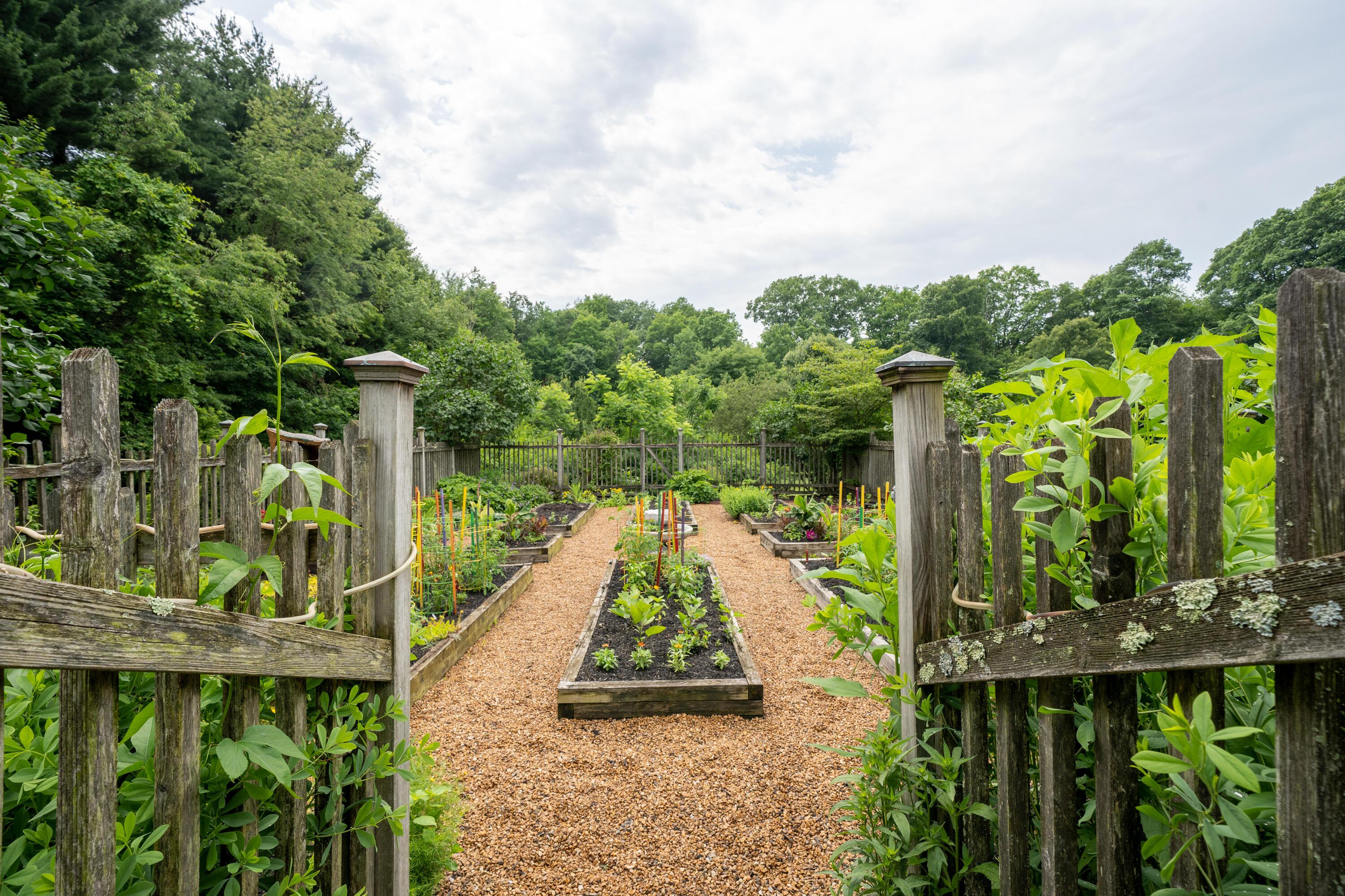 3750 Alward Road Southwest Pataskala, OH 43062 - Photo 57 of 60 Garden Beds