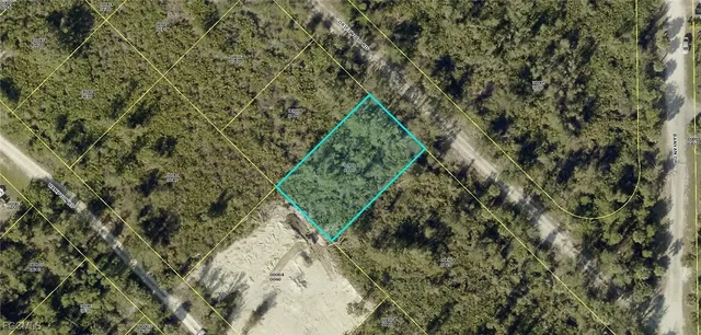 a view of a yard with a tree