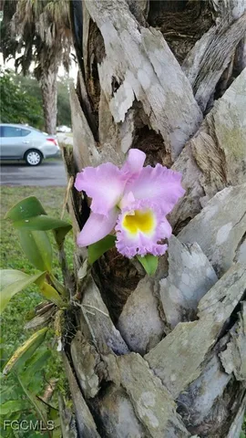 a view of outdoor space stove and living room
