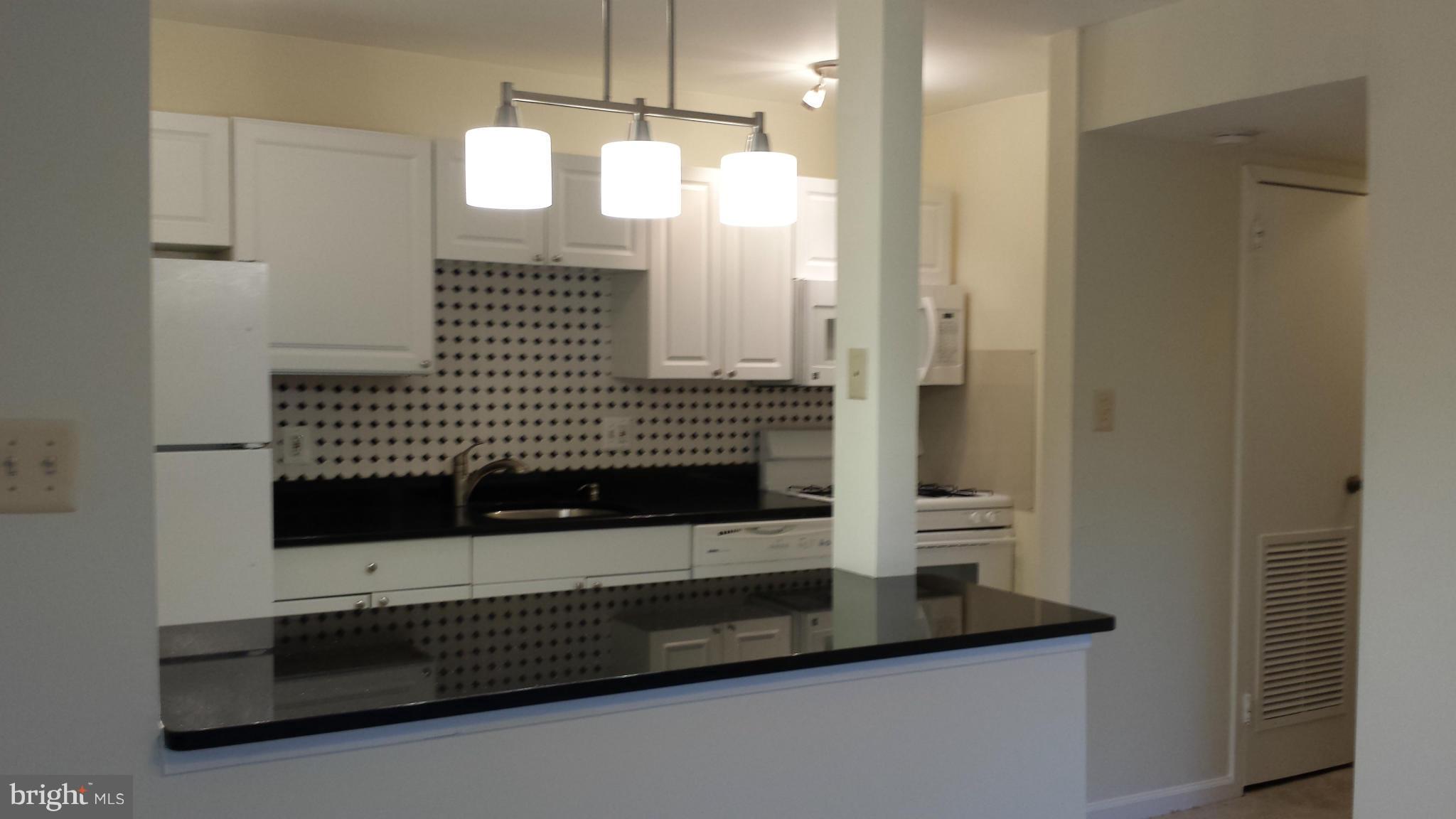 3840 Bel Pre Road, Unit 4126 Silver Spring, MD 20906 - Photo 11 of 28 Kitchen