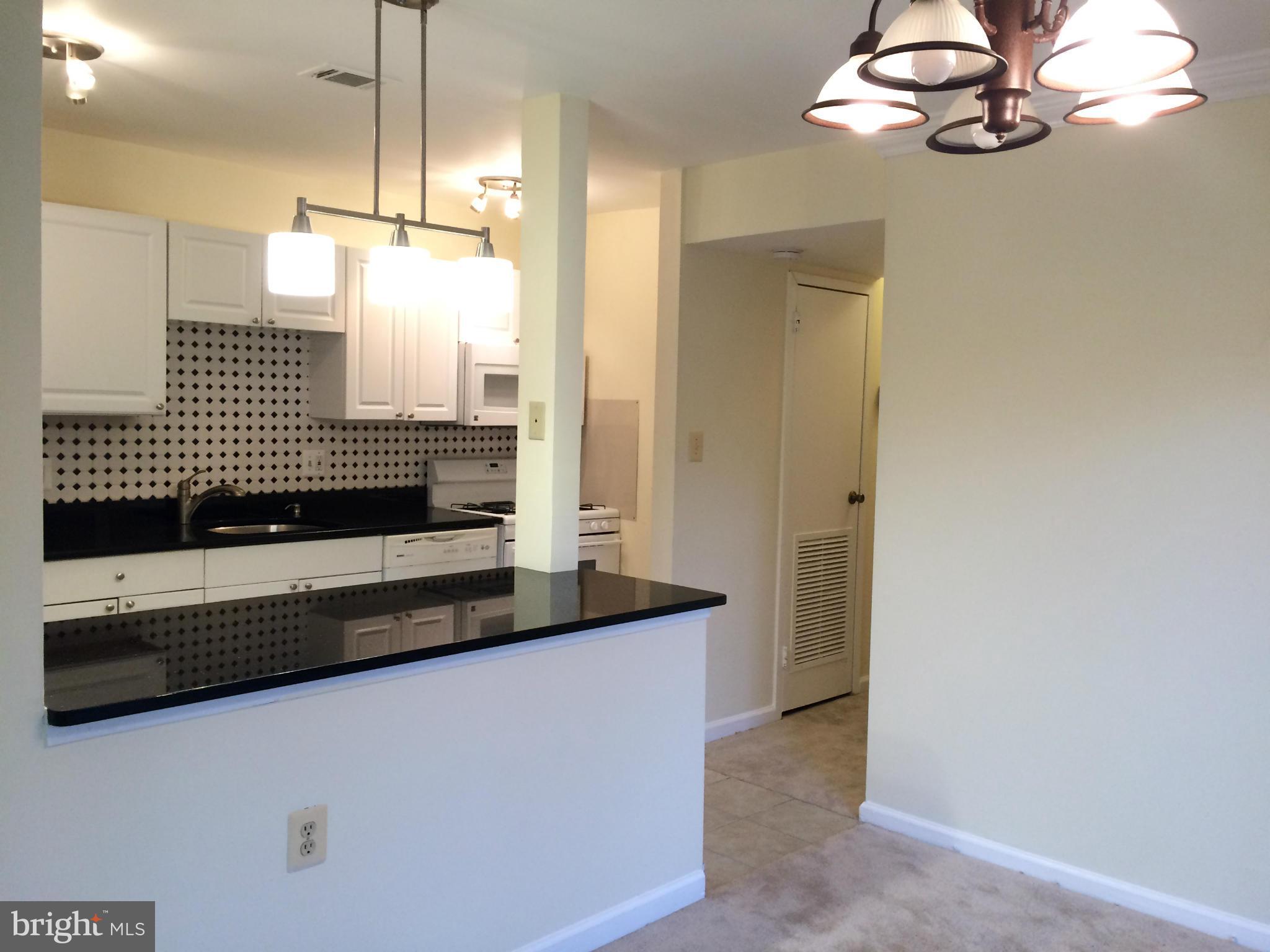 3840 Bel Pre Road, Unit 4126 Silver Spring, MD 20906 - Photo 13 of 28 Kitchen