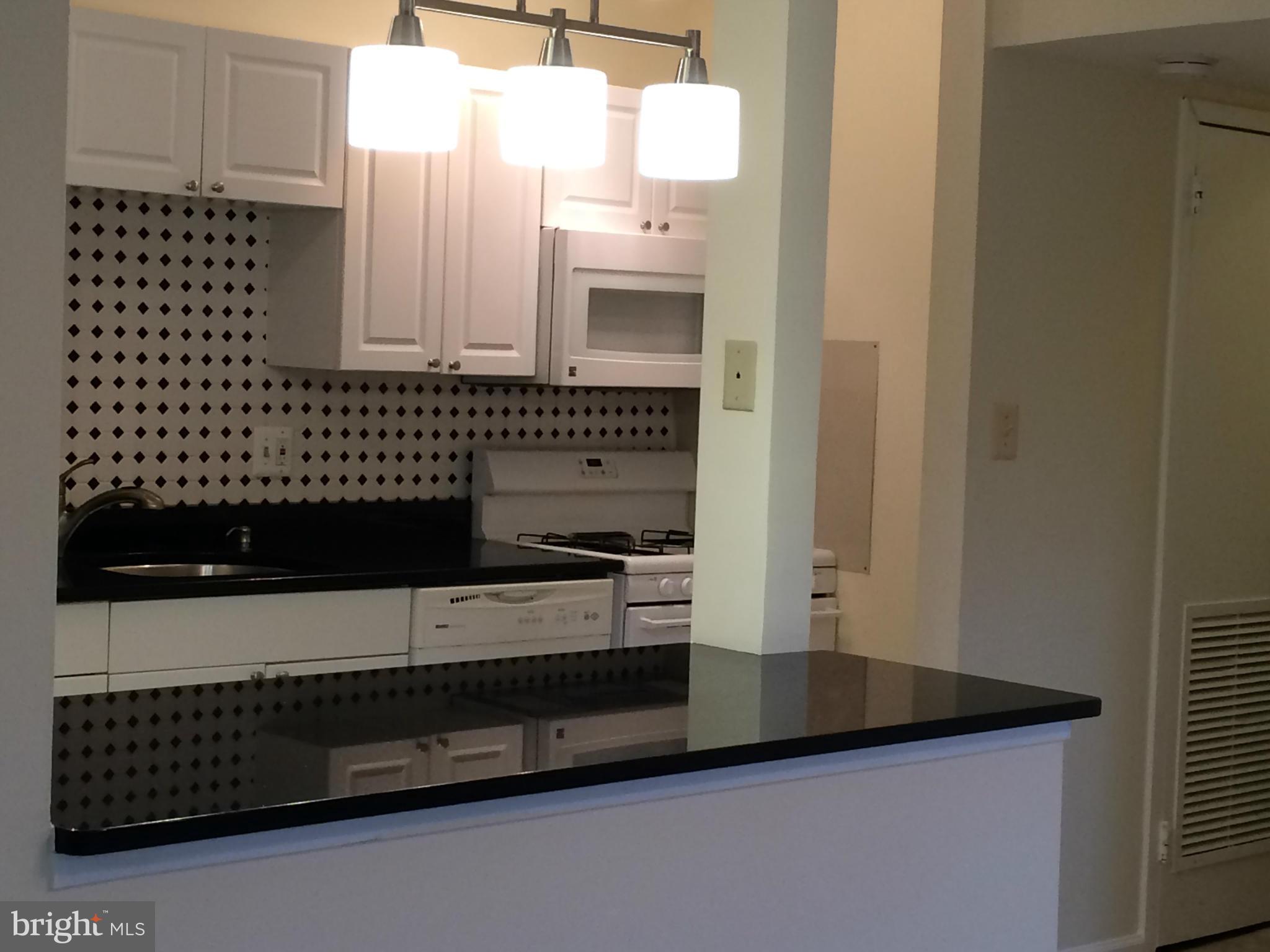 3840 Bel Pre Road, Unit 4126 Silver Spring, MD 20906 - Photo 14 of 28 Kitchen