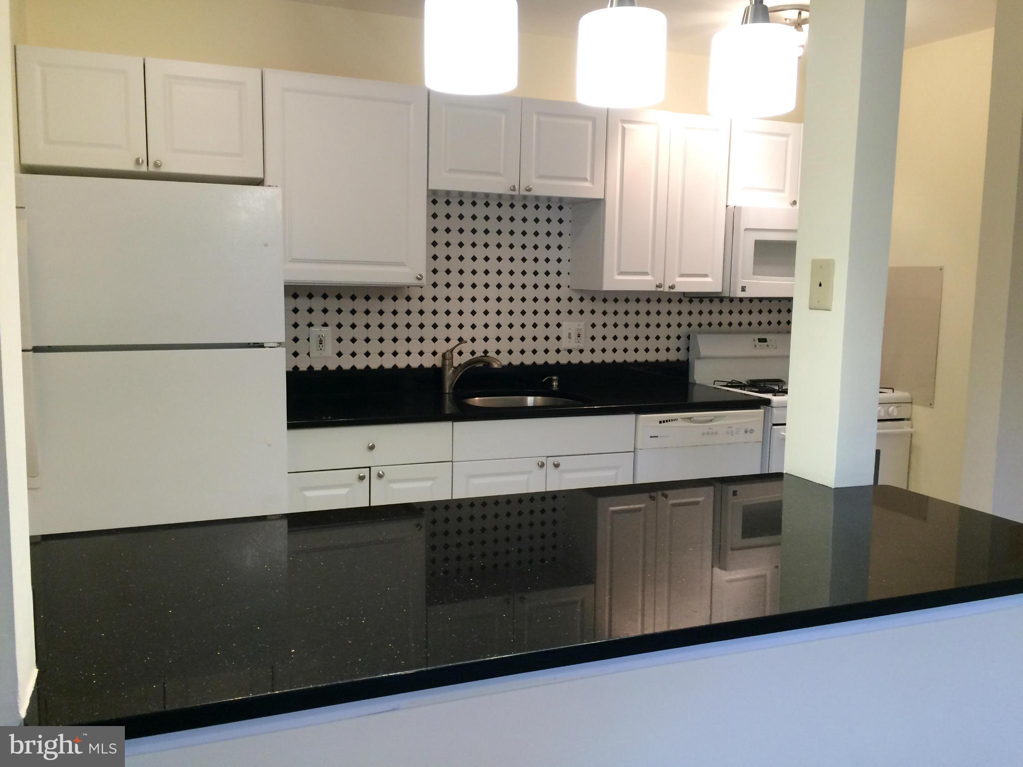 3840 Bel Pre Road, Unit 4126 Silver Spring, MD 20906 - Photo 7 of 28 Kitchen