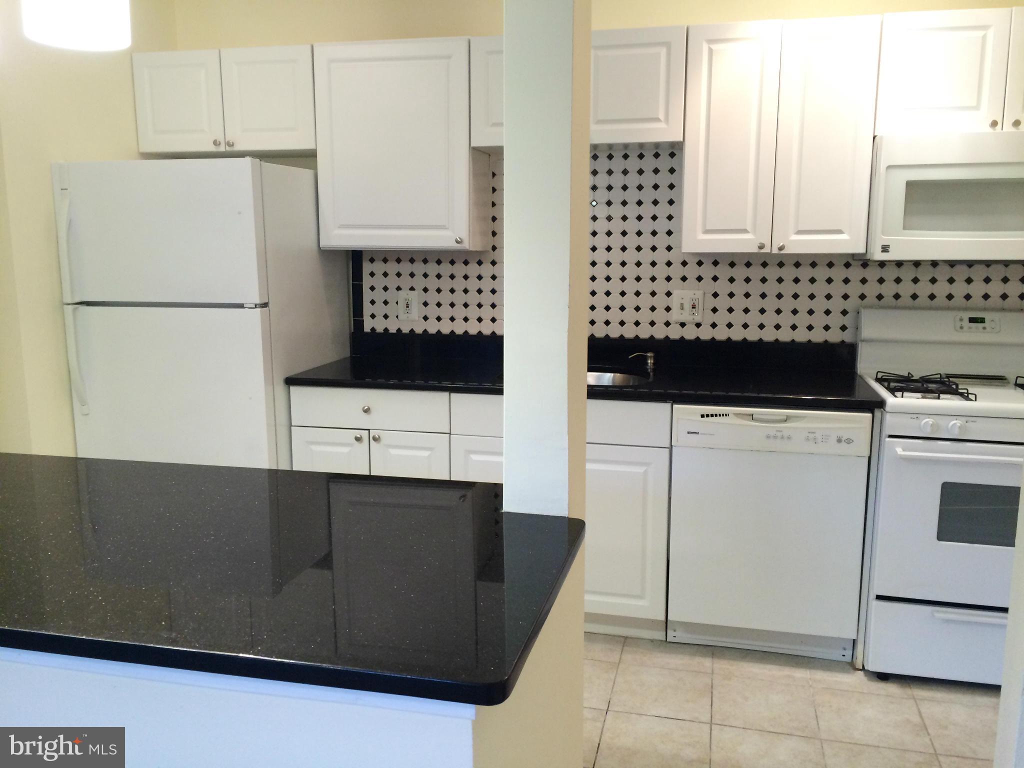 3840 Bel Pre Road, Unit 4126 Silver Spring, MD 20906 - Photo 9 of 28 Kitchen