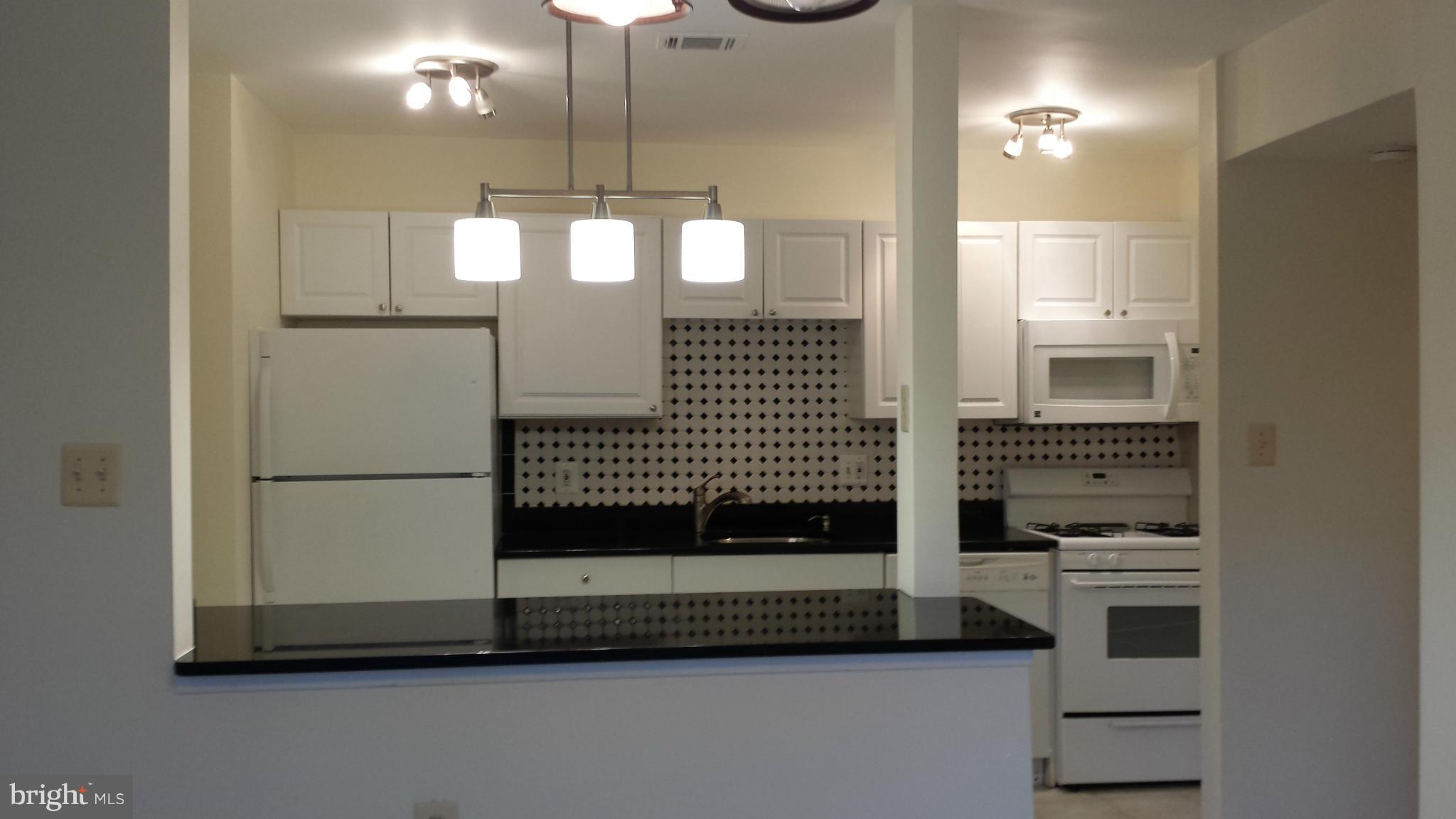 3840 Bel Pre Road, Unit 4126 Silver Spring, MD 20906 - Photo 10 of 28 Kitchen