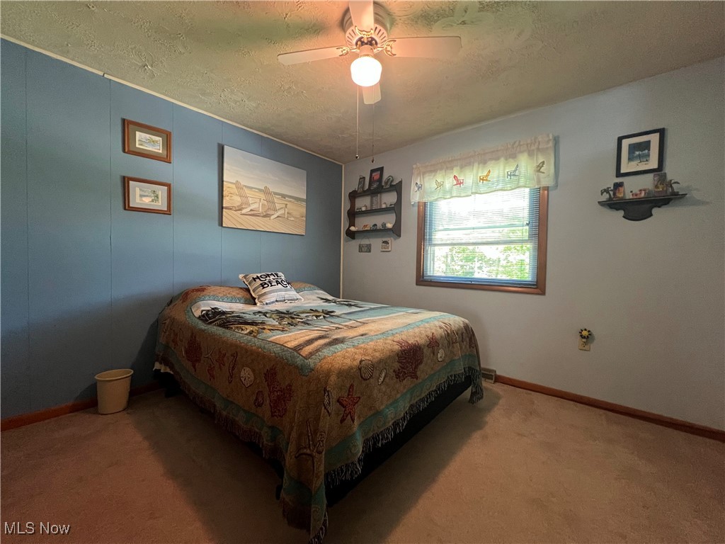 3832 South Ridge Road Kingsville, OH 44048 - Photo 32 of 50 Gallery Image 32