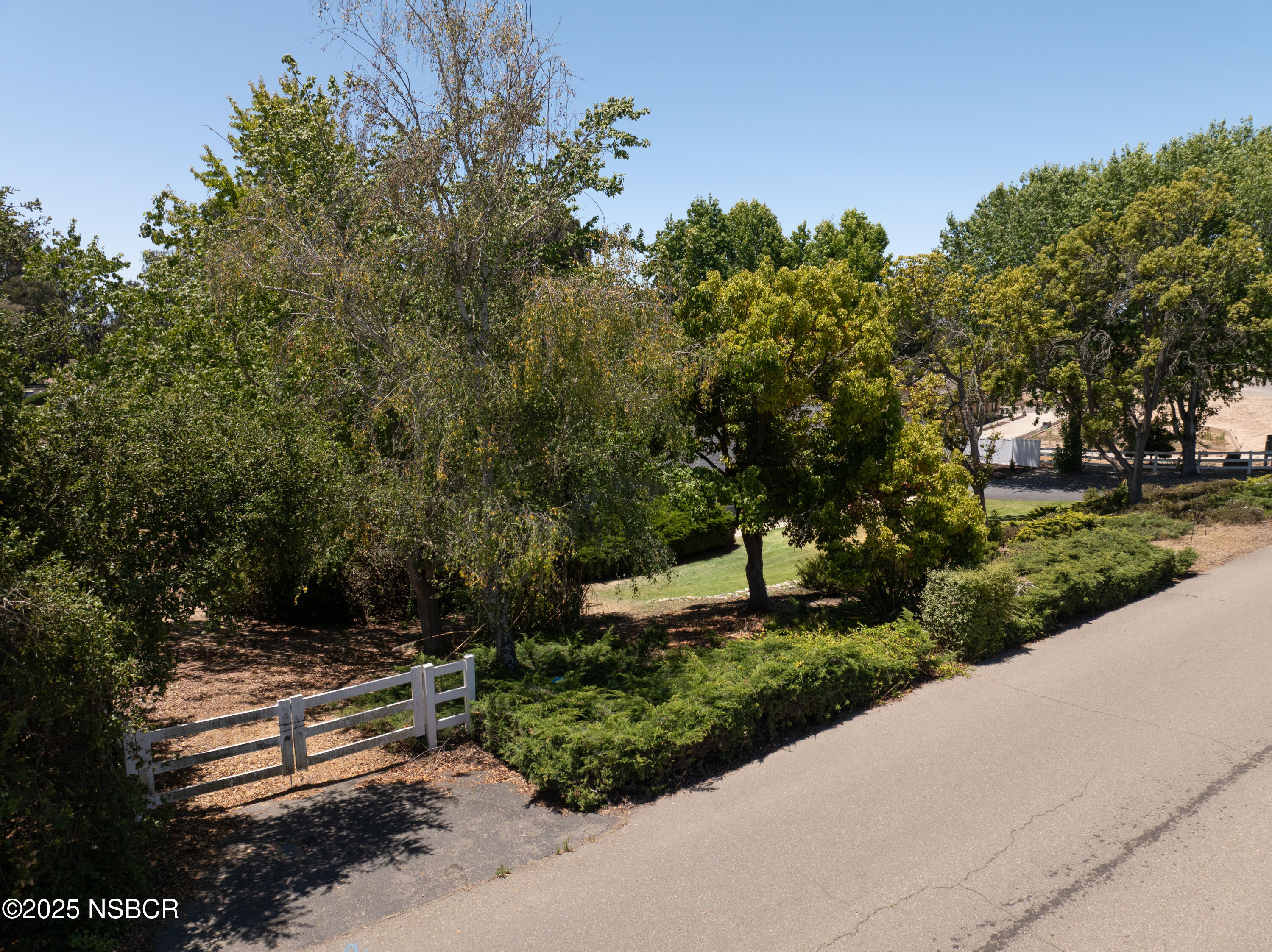 181 Eucalyptus Road Nipomo, CA 93444 - Photo 23 of 36 a view of garden with trees and flowers