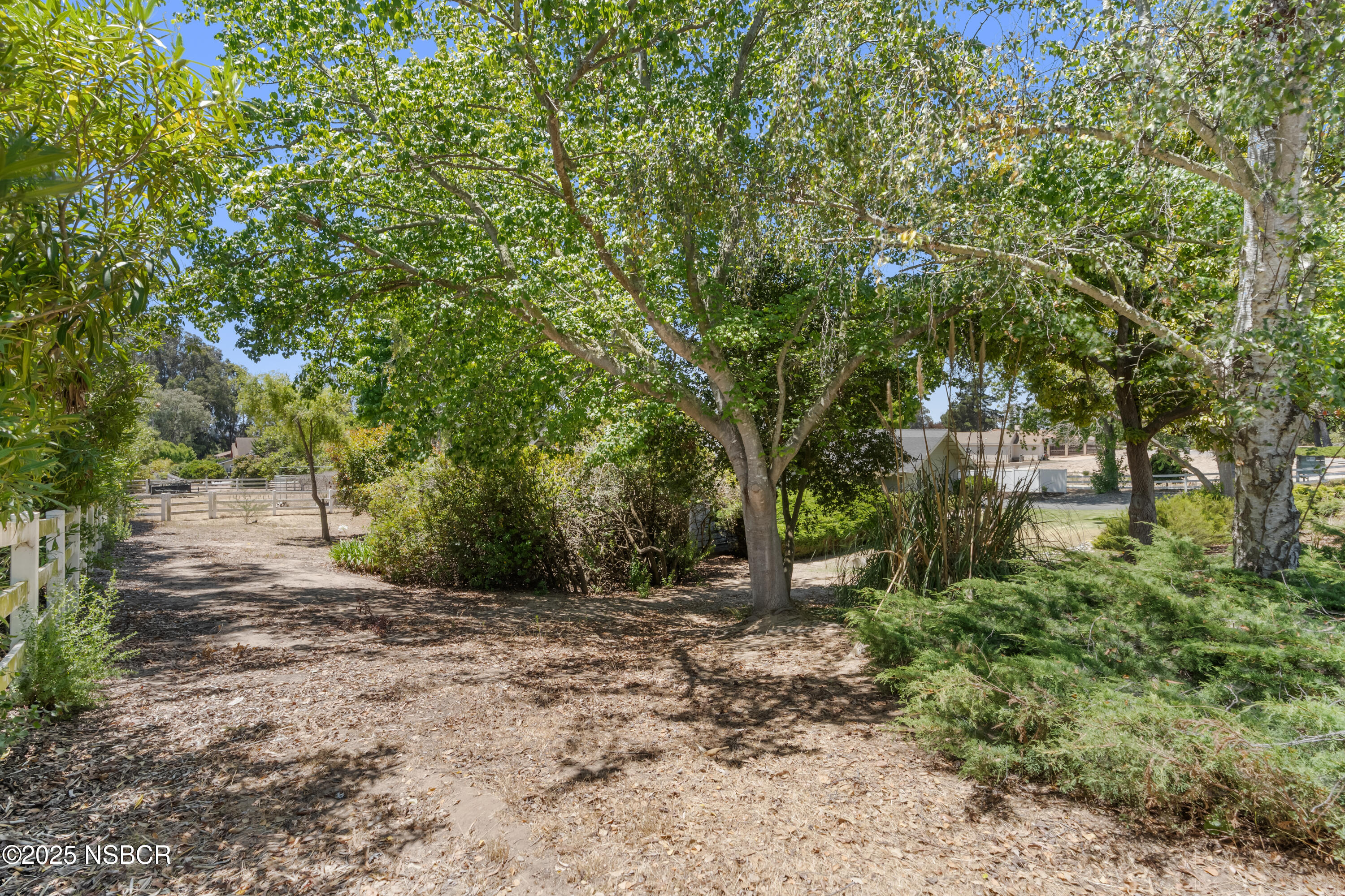 181 Eucalyptus Road Nipomo, CA 93444 - Photo 24 of 36 a view of backyard with green space